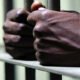 Kenya Power Cable Thief Jailed