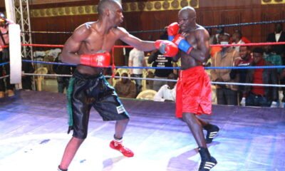 Boxing: 'King' George Beckons For ABU, Commonwealth Crowns