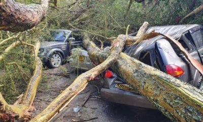 Five Vehicles Damaged, One Injured After Tree Crashes In Naivasha Camp