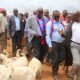 KMC's Impact: Over 50,000 Livestock Slaughtered, Ksh2.2 Billion to Farmers