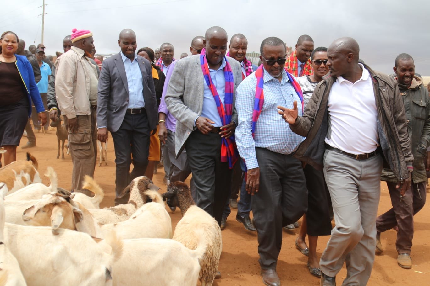 KMC's Impact: Over 50,000 Livestock Slaughtered, Ksh2.2 Billion to Farmers
